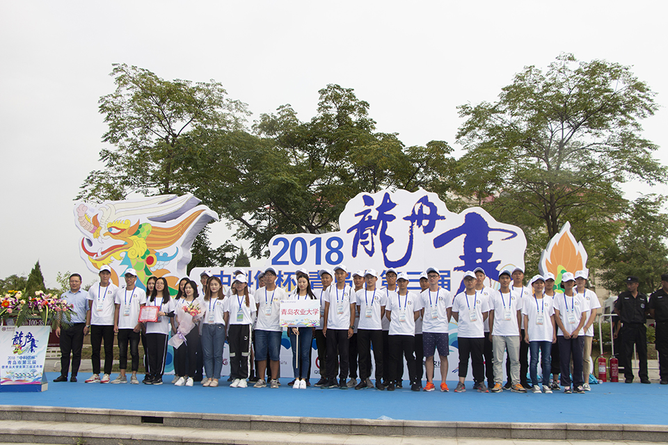 韩国女足：奋勇争先的比赛之路的简单介绍